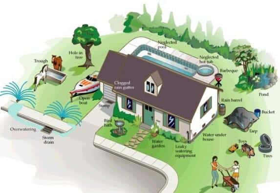 Illustration of a house and yard in Curacao with labeled sources of standing water: clogged rain gutter, overwatering garden, open boat, bird bath, leaky hose, toys, tarp, bucket, rain barrel, and more.