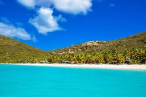 Bright turquoise ocean water leads up to a sandy beach lined with lush palm trees. Green hills rise behind the coastline under a vibrant blue sky with a few fluffy white clouds, evoking the tropical beauty of Curacao.