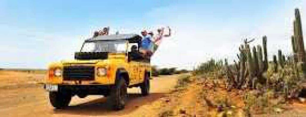 Three people smile and raise their arms as they ride a yellow Buggy East Tour vehicle along a desert dirt road lined with cacti, beneath a clear blue sky.