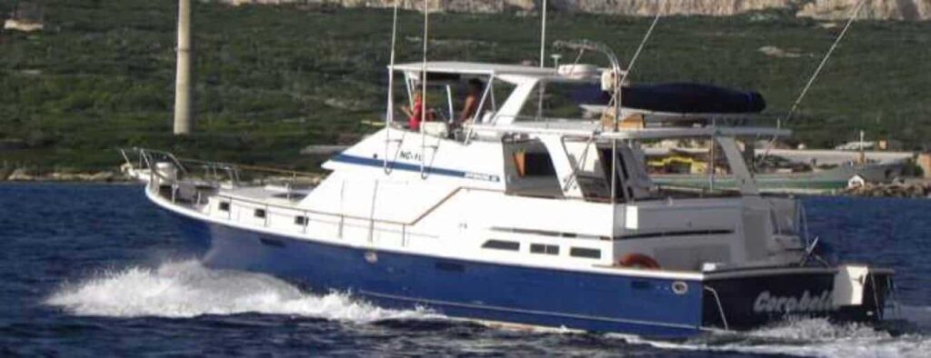 The Deep Sea Fishing Charter (Hele dag) is a blue and white motorboat with a covered cabin and railings, perfect for fishing adventures. It speeds across the water near greenery, industrial buildings, and hills along the distant shore.