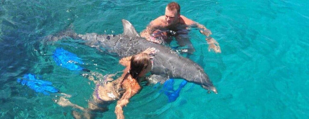 Two people in swimwear enjoy a Dolphin Encounter, interacting playfully with a dolphin in clear blue water. One touches the dolphin’s side while the other supports it, with blue swim fins nearby for an interactive experience.