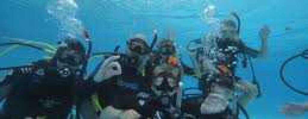 Four scuba divers in full gear pose underwater in a blue pool, waving and making hand signals as they celebrate earning their "Haal je brevet NAUI/Padi" certification.