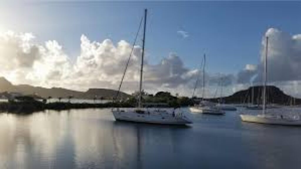 Three white sailboats from the "Half day sail tour" float on calm water, their reflections visible. The partly cloudy sky and sun’s soft light create a tranquil harbor scene with lush green hills and rocky islands in the background.