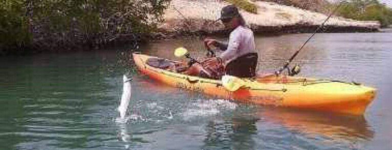 Enjoy the Kayak Fishing Adventure in calm waters near green bushes. Wearing a hat and sunglasses, an angler in a yellow kayak reels in a jumping fish as their fishing gear rests close by.