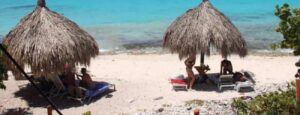 Dos sombrillas de playa con techo de paja dan sombra a las personas en las tumbonas junto a las cristalinas aguas turquesas de Klein Curaçao, enmarcadas por plantas verdes: una pintoresca escena perfecta para su Viaje a Klein Curaçao.