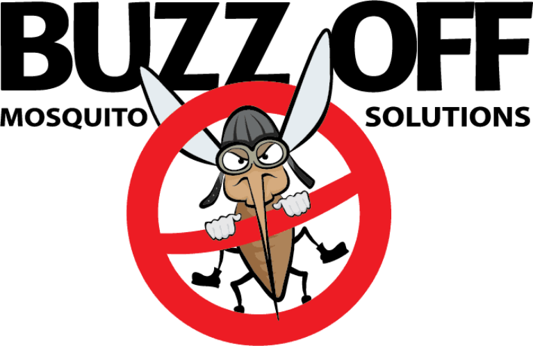 A cartoon mosquito with fists raised stands behind a red no symbol. Above, bold black text reads BUZZ OFF. Smaller text underneath says Curacao Mosquito Solutions. The angry mosquito wears a black helmet and goggles.