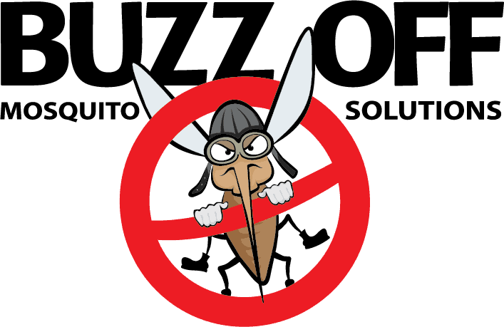 A cartoon mosquito with fists raised stands behind a red no symbol. Above, bold black text reads BUZZ OFF. Smaller text underneath says Curacao Mosquito Solutions. The angry mosquito wears a black helmet and goggles.