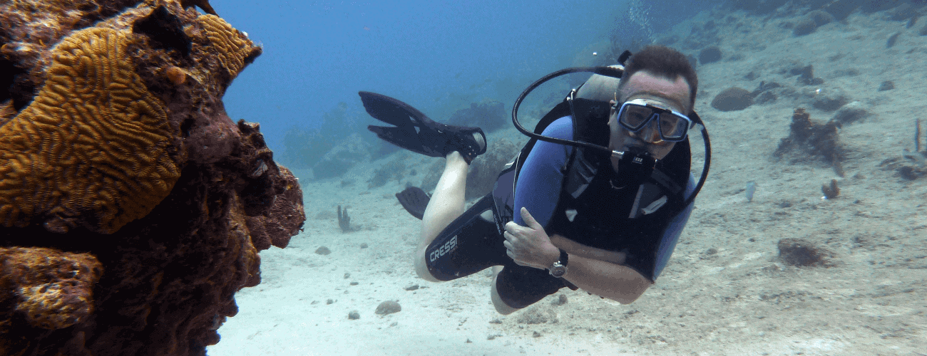 Wearing a wetsuit and mask, a scuba diver takes the PADI Open Water Course, swimming near orange coral on a sandy seabed with rocks and corals. Clear blue water surrounds the diver as they look at the camera.