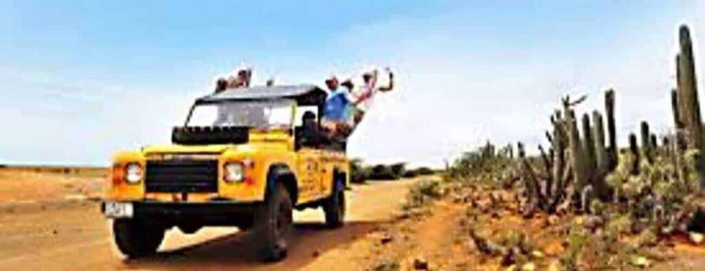 A bright yellow off-road jeep drives through the desert at sunrise on a Sunset/Sunrise safari. Two people sit on the roof, arms raised and smiling, surrounded by tall cacti and dry shrubs for an adventurous atmosphere.
