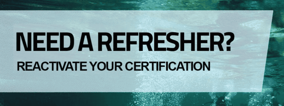 PADI ReActivate Course in Curacao: Dive Back Into Adventure!