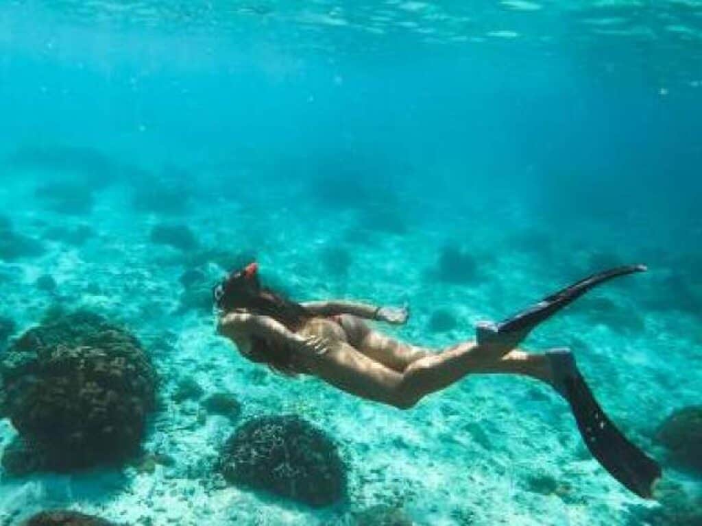 Experience the Ultimate Mid-Day Snorkel Trip in Curacao