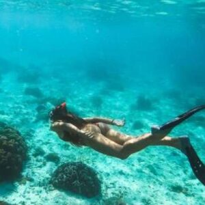 Experience the Ultimate Mid-Day Snorkel Trip in Curacao
