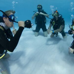 Discover the Underwater Wonders with Jan Thiel Diving's PADI Open Water Course