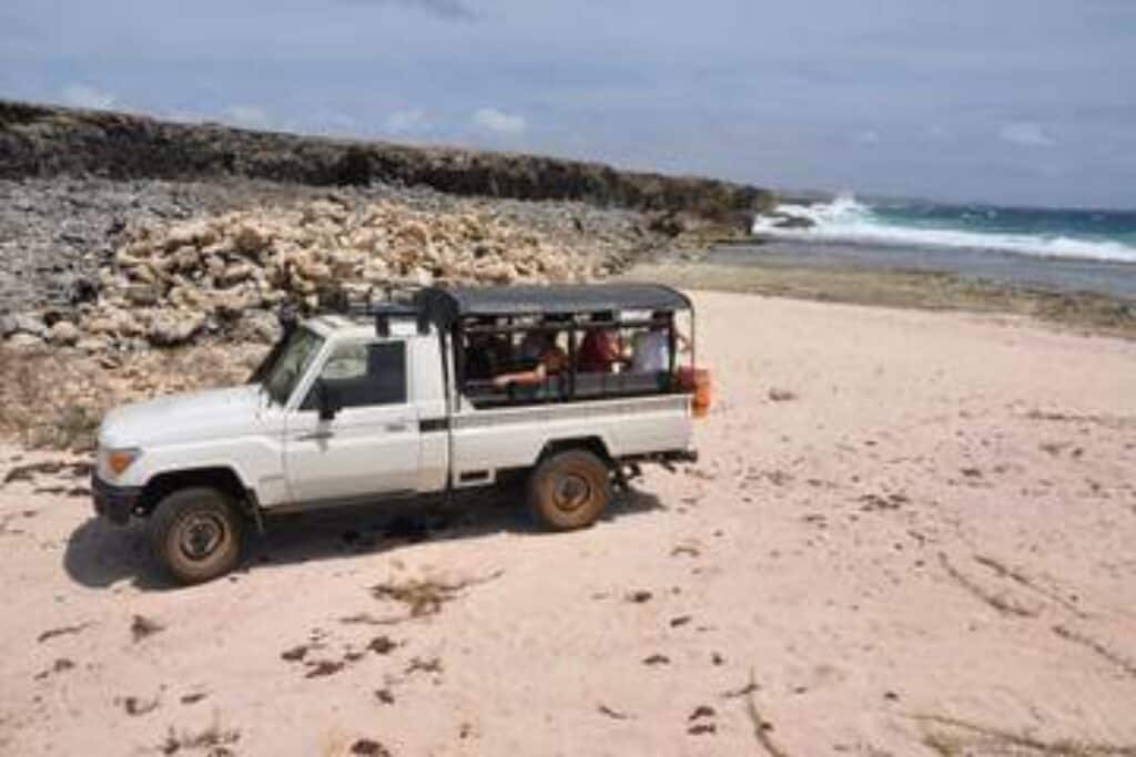 Ontdek de sensatie van het Nationaal Park Off-Road avontuur op Curaçao Ontdek de ongetemde schoonheid van Curaçao met Jan Thiel Diving Curaçao staat bekend om zijn prachtige stranden en bruisende onderwaterleven, maar het ruige binnenland van het eiland heeft geheimen die wachten om ontdekt te worden. Het National Park Off-Road Adventure van Jan Thiel Diving biedt een opwindende manier om de wilde kant van Curaçao te verkennen, met een unieke mix van natuur, geschiedenis en avontuur. Op CuracaoTodo.com, jouw bron voor alle toeristische informatie, raden we je deze onvergetelijke reis door een aantal van Curaçaos meest adembenemende landschappen van harte aan.