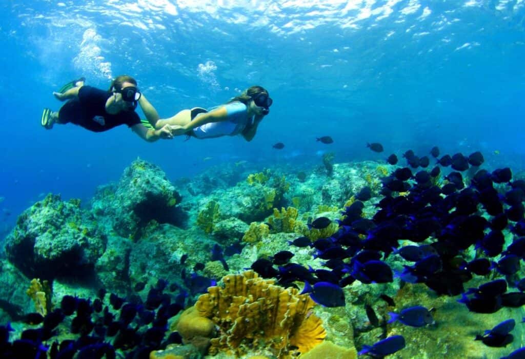 Verken de onderwaterwereld van Curaçao: Blue C Snorkeltrip van een halve dag