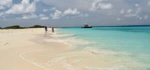 Discover the Hidden Gem of Klein Curacao with Jan Thiel Diving