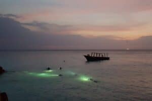 Ervaar de sensatie van een 1 Tank begeleide nachtduik bij Coral Divers op CuraƧao