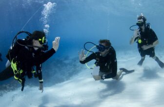 Refresh Dive Experience at Jan Thiel Diving in Curacao
