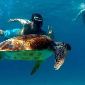 Ontdek de schoonheid van West-Curaçao met Blue C Watersports