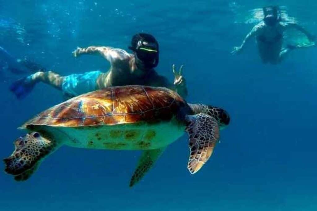 Explore Curaçao's West Coast: A Thrilling Speedboat Adventure