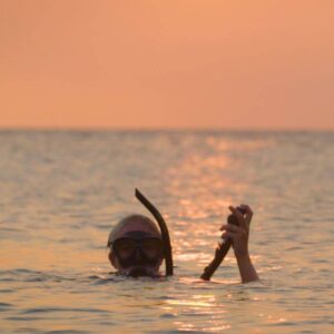 Discover the Magic of Night Diving in Curaçao