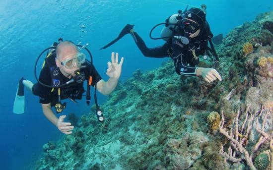 Duikcentrum Pietermaai: Jouw toegangspoort tot onderwateravontuur op Curaçao