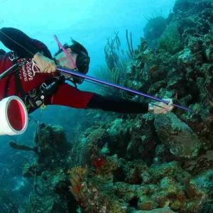 Lionfish Scuba Dive Experience in Curaçao
