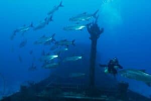 Dive into History: Exploring the Wreck of the Superior Producer in Curaçao