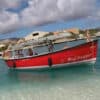 Boat Tours