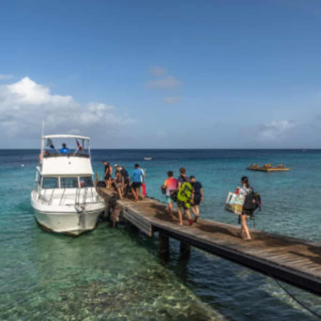 Dive into Paradise: Exploring Alice in Wonderland Reef in Curaçao