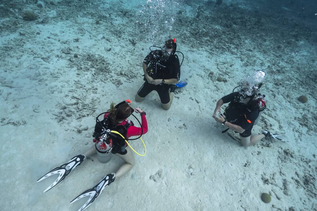 Voltooi je Open Water Referral op Curaçao met Go West Diving