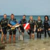 Dive Courses