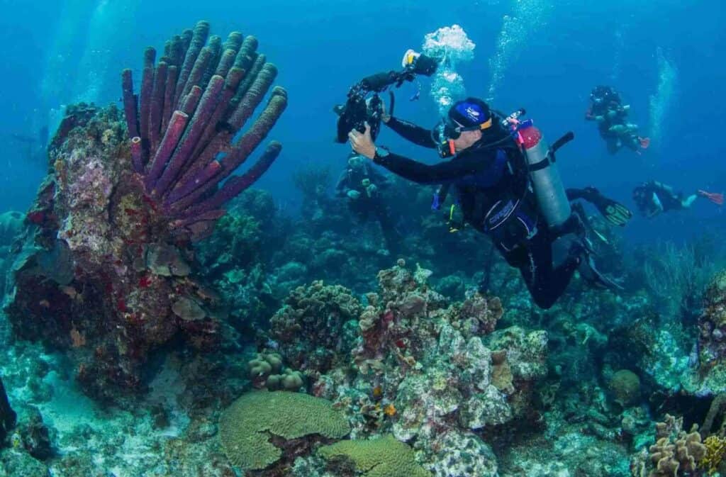 Duik in avontuur met het Onbeperkt Duiken Pakket van 1 Dag bij Ocean Encounters