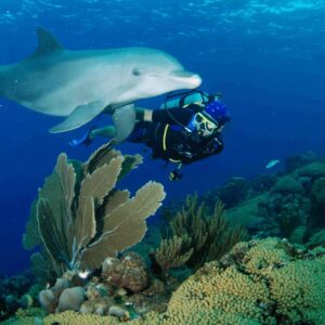 Dive into Adventure: 5-Day Unlimited Shore Dive Package in Curaçao