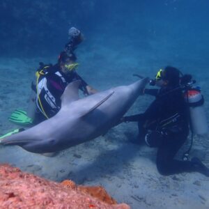 Dive into Adventure with CURious 2 DIVE in Curaçao