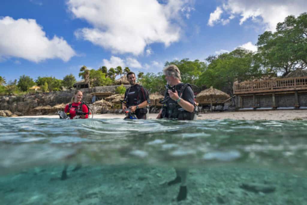 Dives into Paradise: Exploring Alice in Wonderland Reef in Curaçao