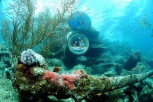 Explore the Ocean Lens - Guided Tour at Curaçao Sea Aquarium Park