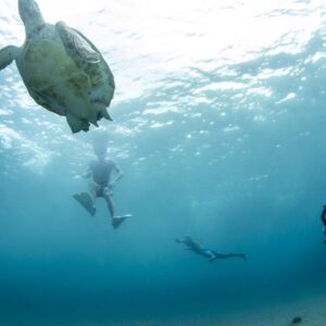 Discover the Beauty of Curaçao with the Full-Day Snorkel West Trip