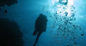 Relax Guided Dives