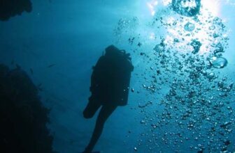 Relax Guided Dives