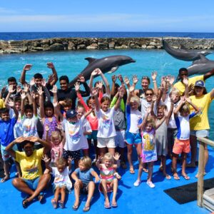 Discover Group Adventures at Dolphin Academy Curaçao