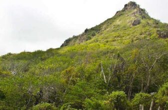 christoffel park