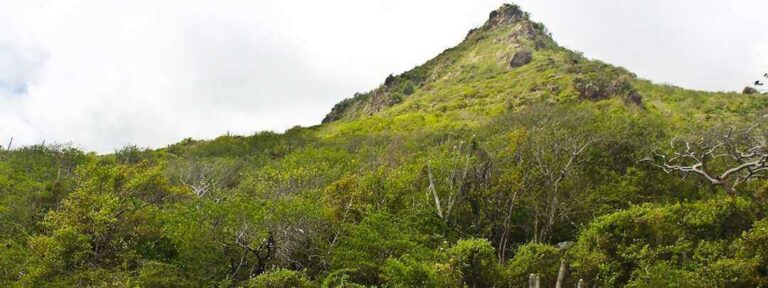christoffel park