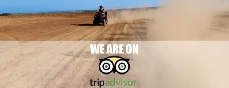 crazy tours
