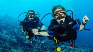 Discover the Underwater World of CuraƧao: Your First Introduction to Diving