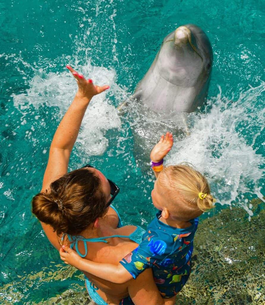 Ontdek de magie van snorkelen met dolfijnen op Curaçao