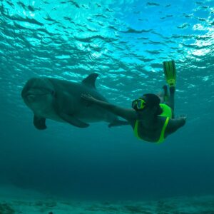 Dolphin Assistant Trainer Program: A Unique Experience for Kids in Curaça