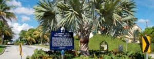 flamingo park