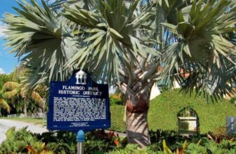 flamingo park