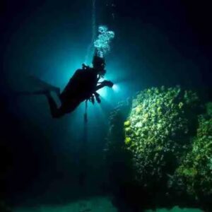 Experience the Thrill of a Night Boat Dive in Curaçao
Dive into the enchanting underwater world of Curaçao after sunset with Ocean Encounters' Night Boat Dive. This unique diving experience reveals the mysteries of the ocean under the cover of darkness, offering certified divers an unforgettable adventure.

Why Choose a Night Boat Dive?
The allure of night diving lies in the transformation of the underwater environment. By night, the coral reefs of Curaçao come alive with creatures that are seldom seen during the day. The vibrant colors and fascinating behaviors of nocturnal marine life provide a completely different perspective on the ocean's beauty.

The Night Dive Experience
Schedule and Departure
Join the night boat dive to the famous Tugboat wreck every Wednesday evening. The boat departs at 6:30 PM from the docks at LionsDive Beach Resort and Sunscape Curacao Resort, returning by 8:30 PM. Ensure you arrive 15 minutes before departure to prepare for your adventure. The experience lasts approximately 2.5 hours, offering ample time to explore and enjoy the nocturnal underwater world.

What to Expect
Your dive master will begin with a comprehensive briefing on night diving procedures, including special dive signals using your dive light. You'll learn essential skills for navigating in the dark and tips on where to find the most intriguing nocturnal creatures.

Requirements:

PADI or SSI certification
All experience levels welcome, but certification is mandatory
Open to certified divers aged 12 and above
What's Included
Ocean Encounters ensures you have everything needed for a safe and enjoyable dive:

Weights and one tank (with both DIN and yoke connections available)
Complimentary transit from LionsDive and Sunscape Resorts
Optional Add-Ons:

Rental Dive Light: $15
Professional Photos or Videos: From $20 (reserve in advance to guarantee availability)
Discover the Unique Nightlife of the Reef
Night diving in Curaçao offers a glimpse into the ocean's nightlife. As day creatures retreat, nocturnal organisms like octopuses, lobsters, and bioluminescent plankton emerge, creating a magical display. The corals, too, appear different under the glow of your dive light, with many species exhibiting stunning fluorescent colors.

Frequently Asked Questions
Do I need a night dive certification?
While Open Water Divers can participate in night dives, having proper training, such as the PADI Night Diver Specialty course, enhances the experience. This course teaches you how to navigate and find the most fascinating nocturnal creatures, ensuring a safe and enjoyable dive.

Is the dive light included?
No, the rental dive light is an optional add-on for $15.

Book Your Night Boat Dive
Ready to explore the underwater world of Curaçao by night? Book your night boat dive with Ocean Encounters today. Visit CuracaoTodo.com for the most comprehensive and up-to-date information on this and other exciting activities in Curaçao. CuracaoTodo is your ultimate guide to the best experiences the island has to offer.

Embark on this extraordinary journey and see the coral reefs of Curaçao in a whole new light!